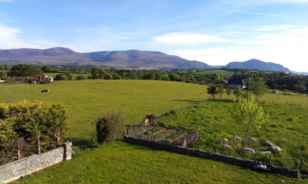 Dunn Court House Bed & Breakfast Killarney Luaran gambar