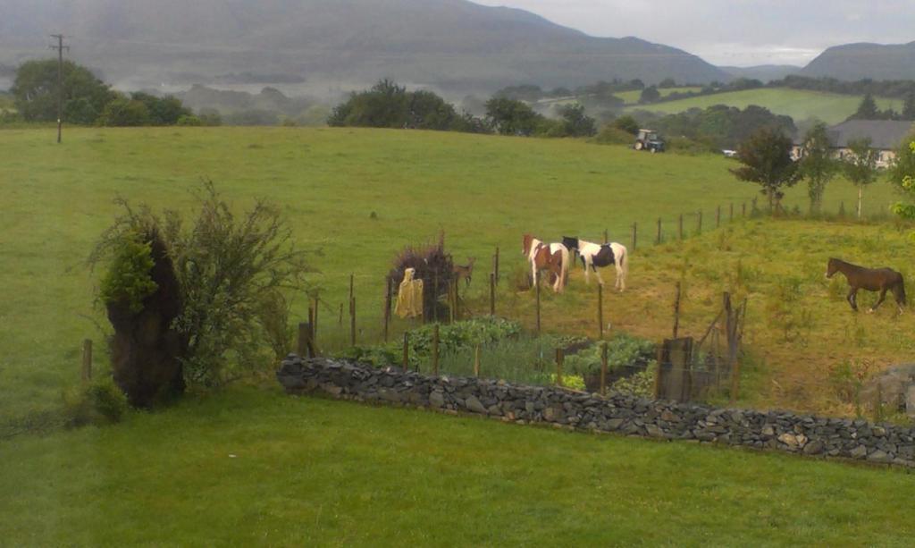 Dunn Court House Bed & Breakfast Killarney Luaran gambar
