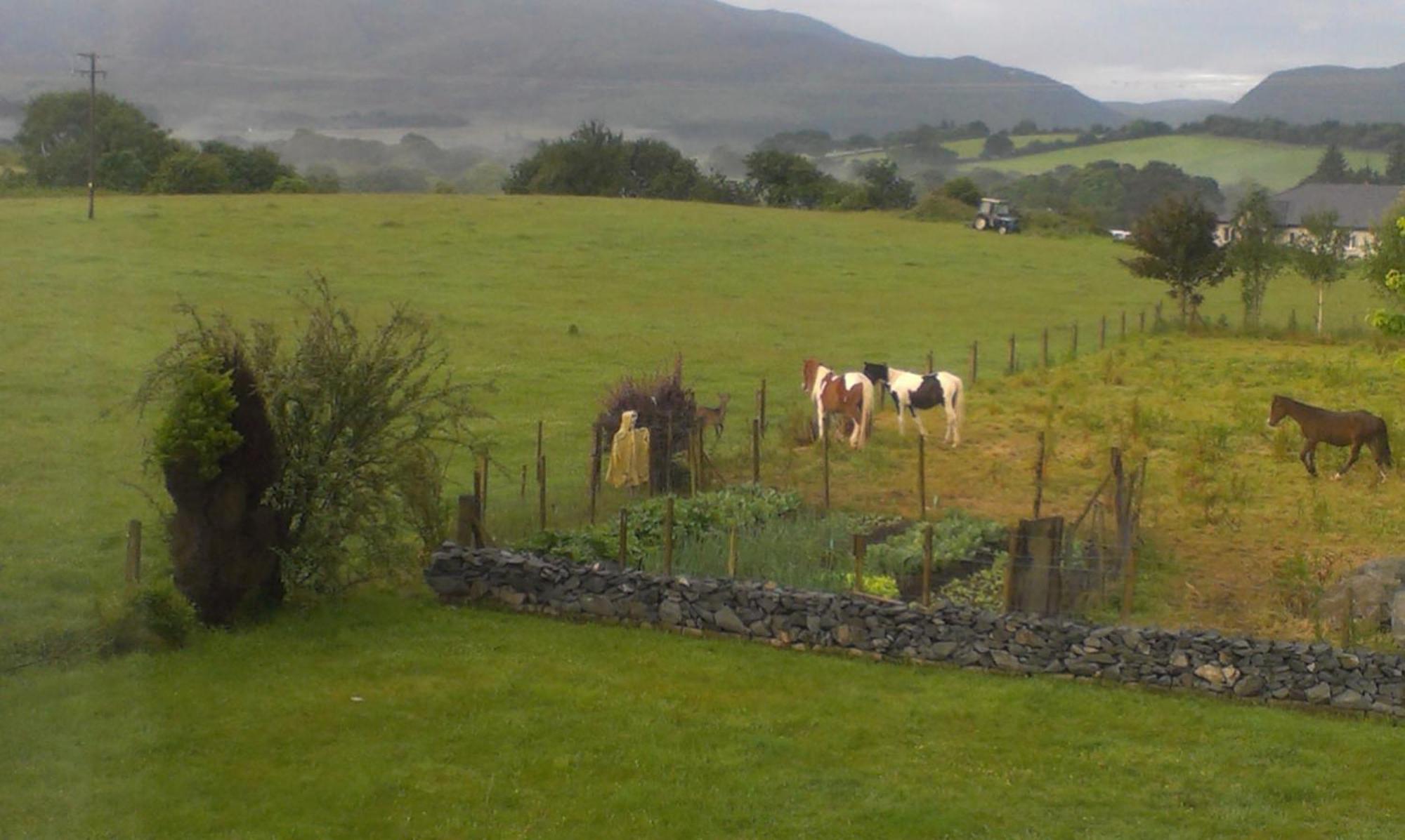 Dunn Court House Bed & Breakfast Killarney Luaran gambar